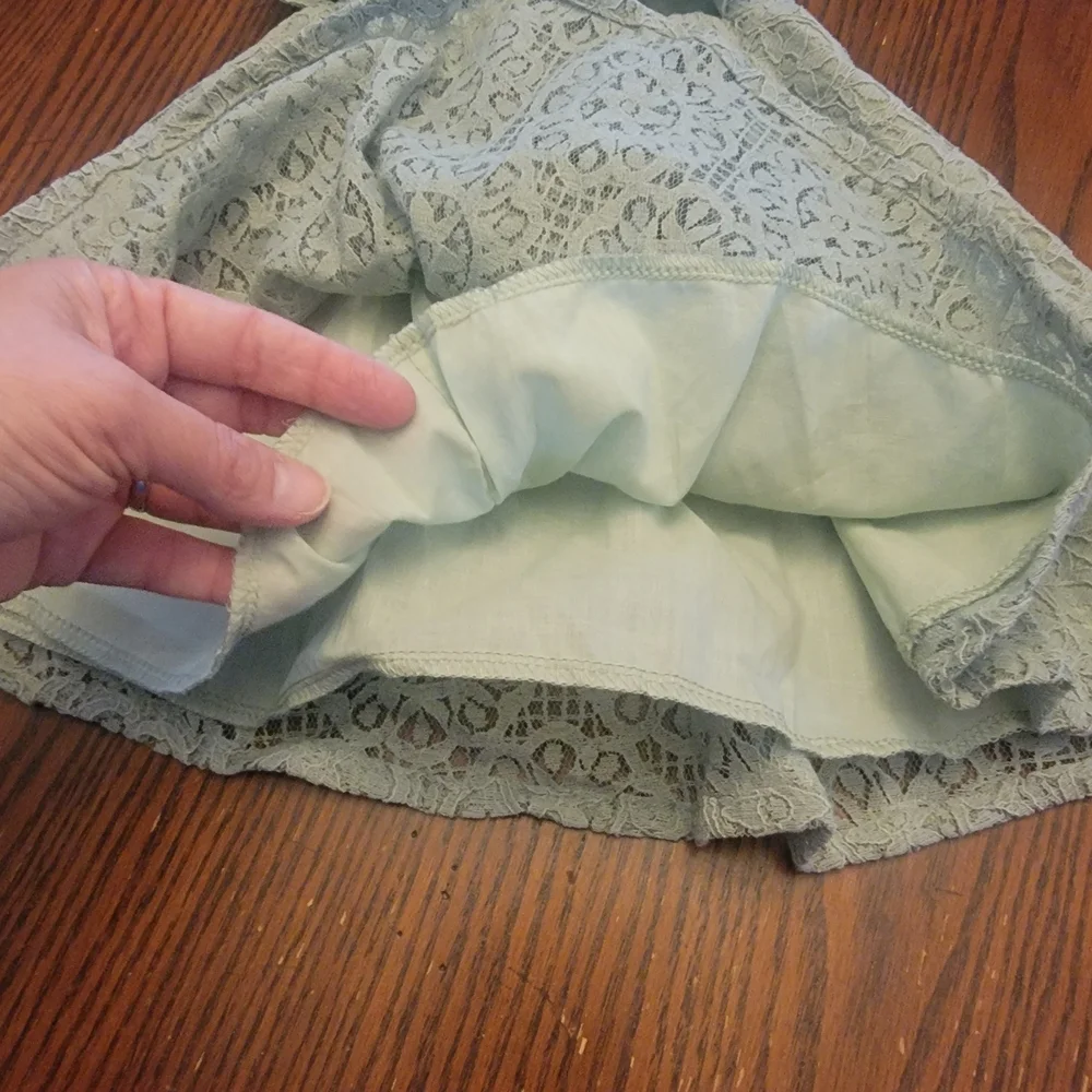 Light Sage Green Lace Fit & Flare Dress with Flutter Sleeves Size 12 Months